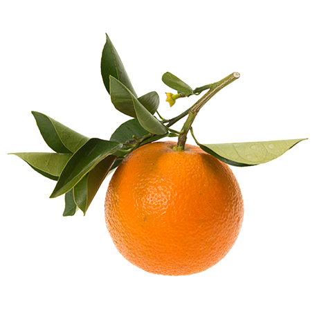 petit grain bigarade